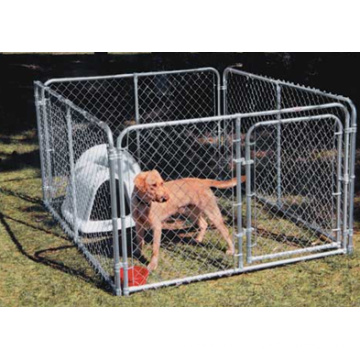 Chien de chien de haute qualité / cage pour animaux de compagnie